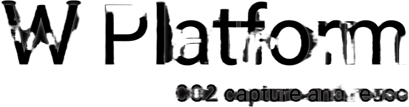 Logo W Platform